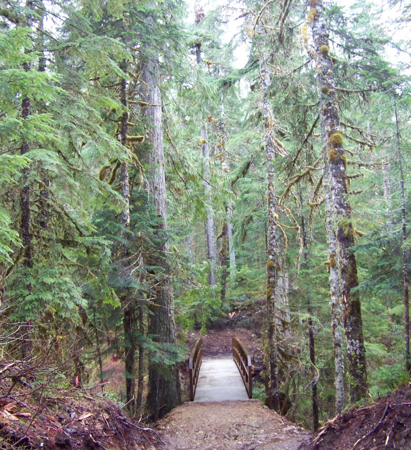 Maintenance free pedestrian bridge in Washington national forest - project by Rapid-Span